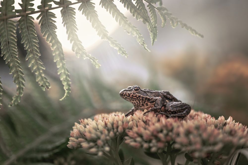 Photograph by Лапшина Владлена