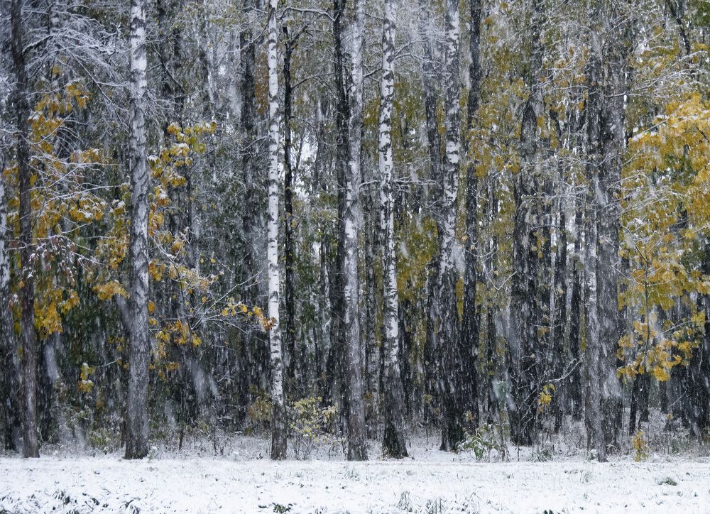 Photograph by Евгений