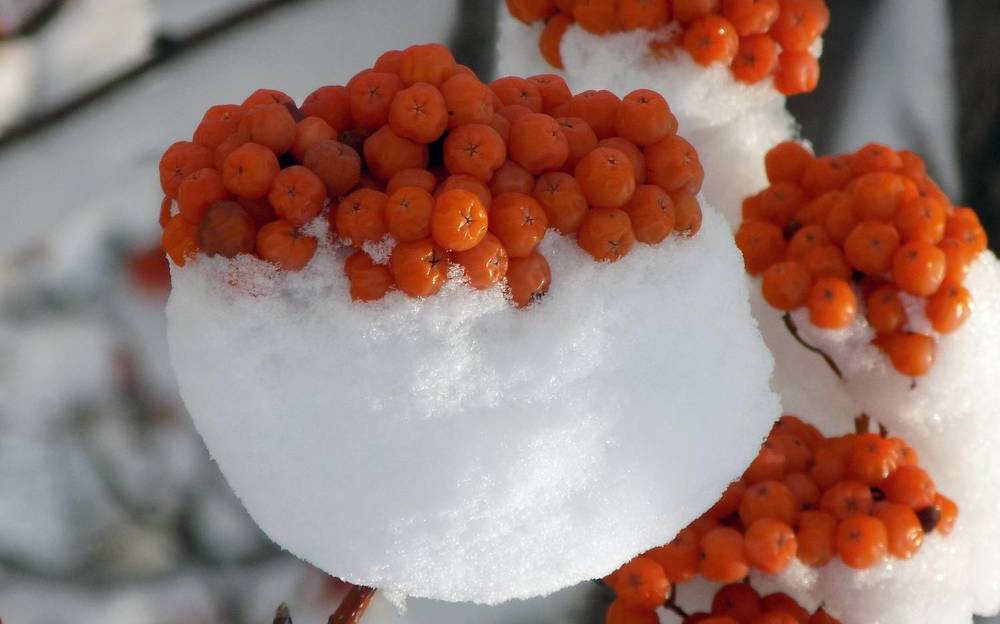 Photograph by Серега Вартман