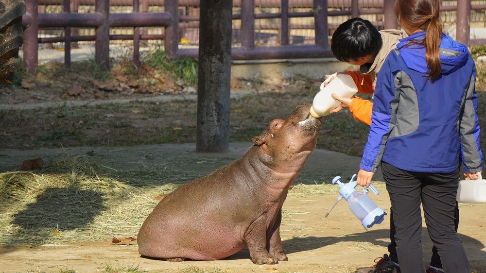 Photograph by Оксана Трофименко