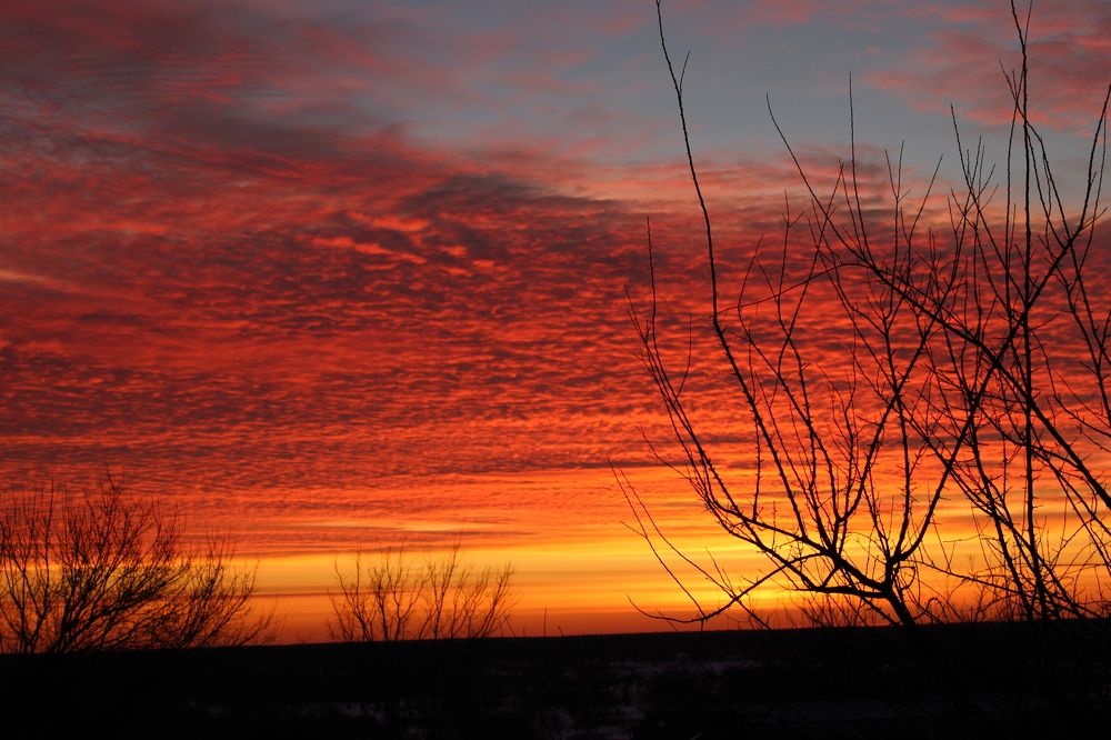 Photograph by Елена Коробченко