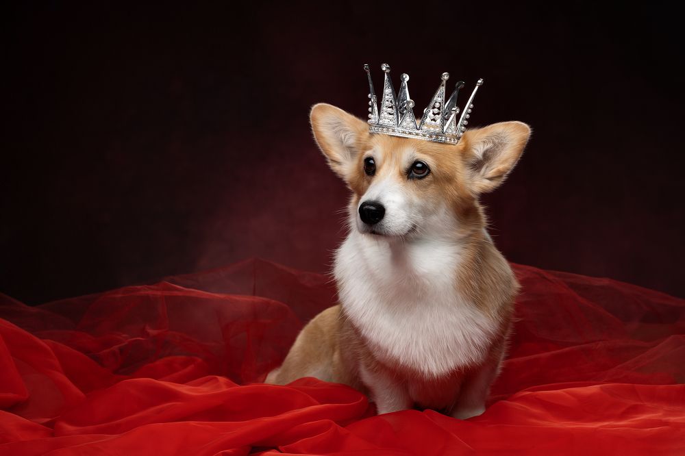 Photograph by Светлана Писарева