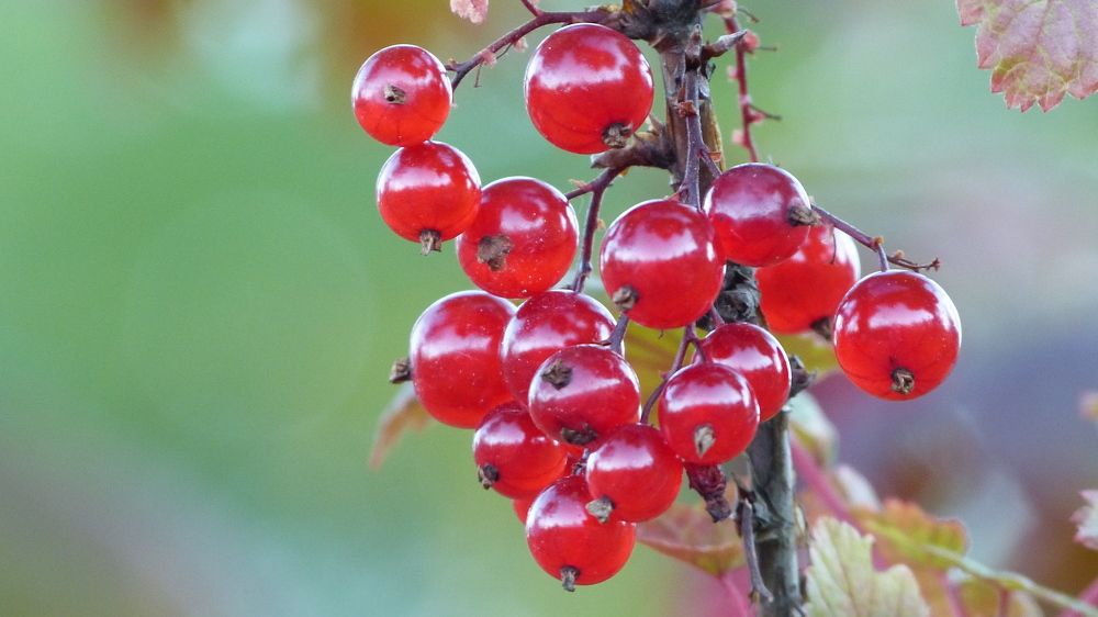 Photograph by Максим Владимирович