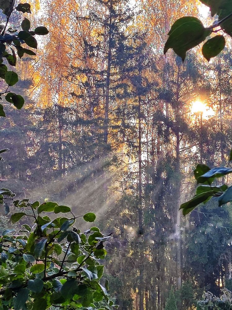 Фотография автора Рузинова Елена