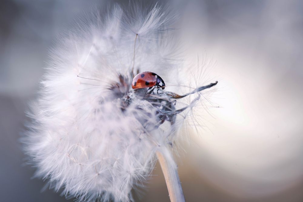 Photograph by Лапшина Владлена