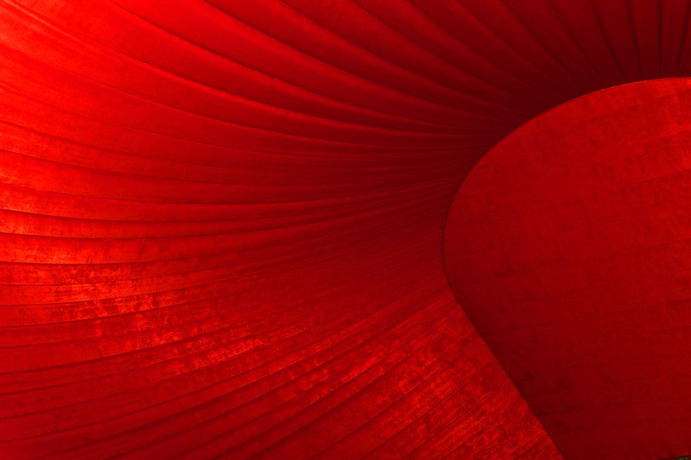 Photograph by Надежда Пухова