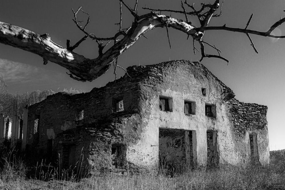 Фотография автора Екатерина Першина