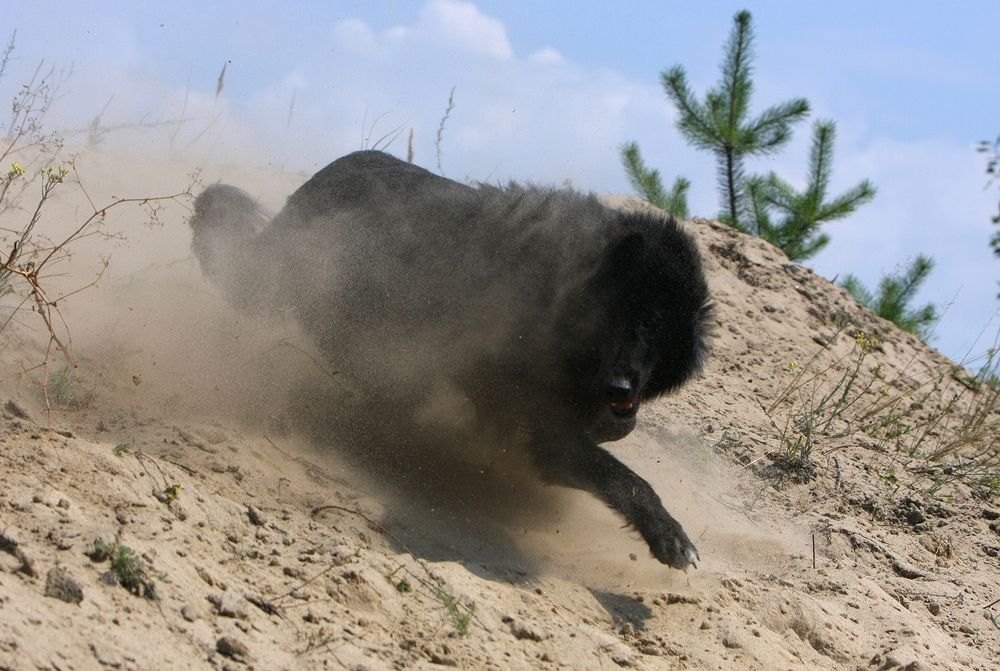 Фотография автора Надежда Лисицына