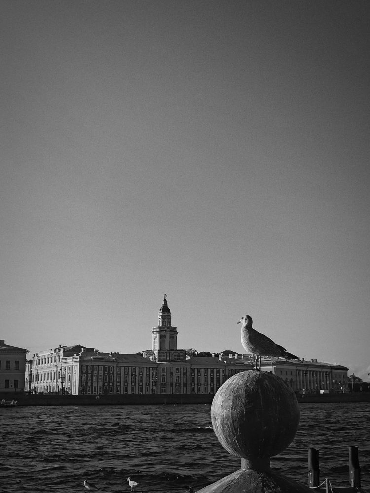 Photograph by Тимур Быков