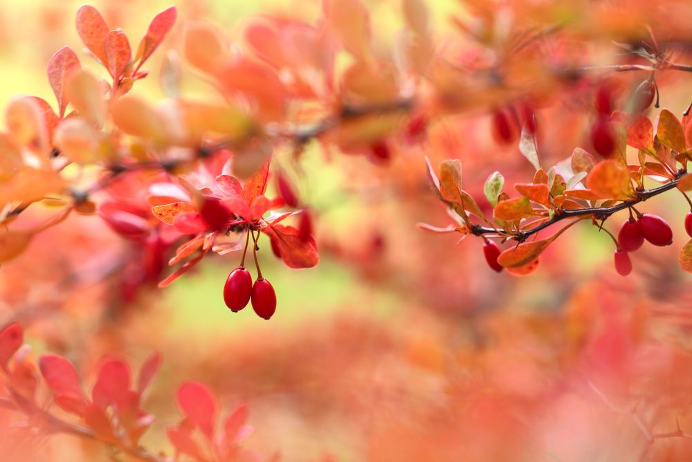 Фотография автора Галина
