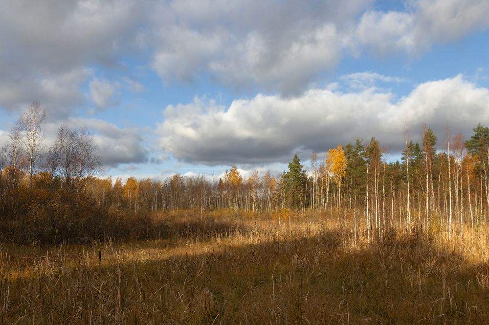 Photograph by Светлана Воробьёва