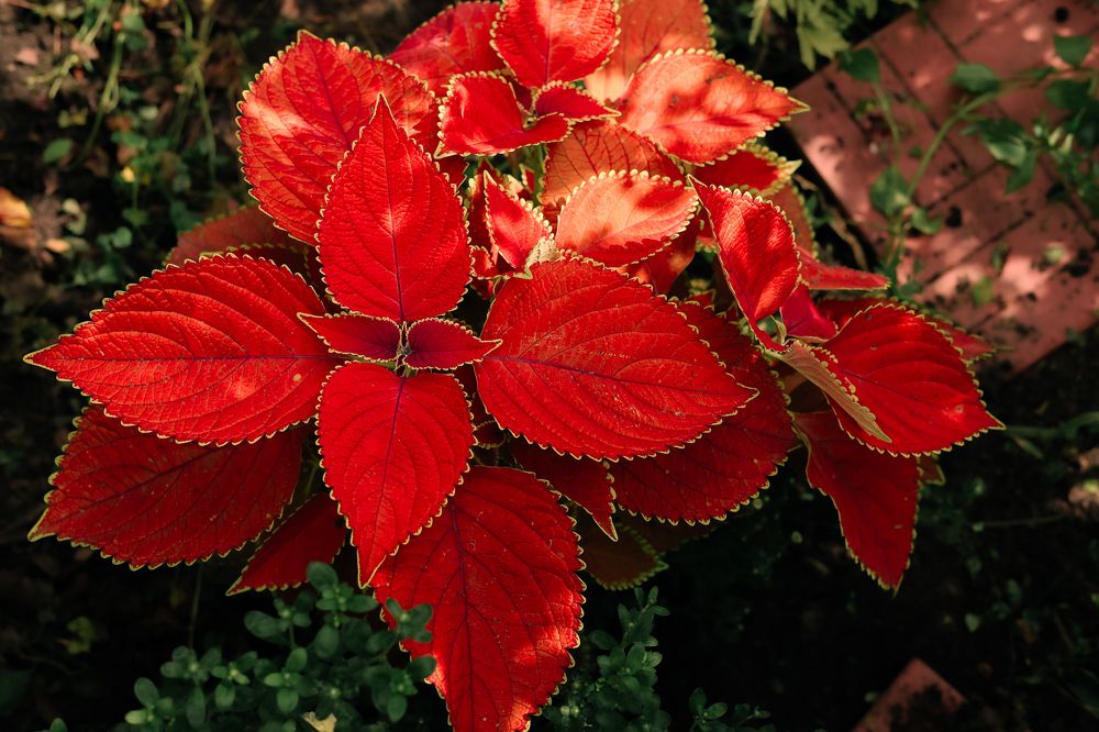 Photograph by Наталья Лобанова