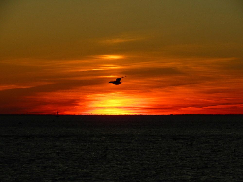 Photograph by Татьяна Смирнова