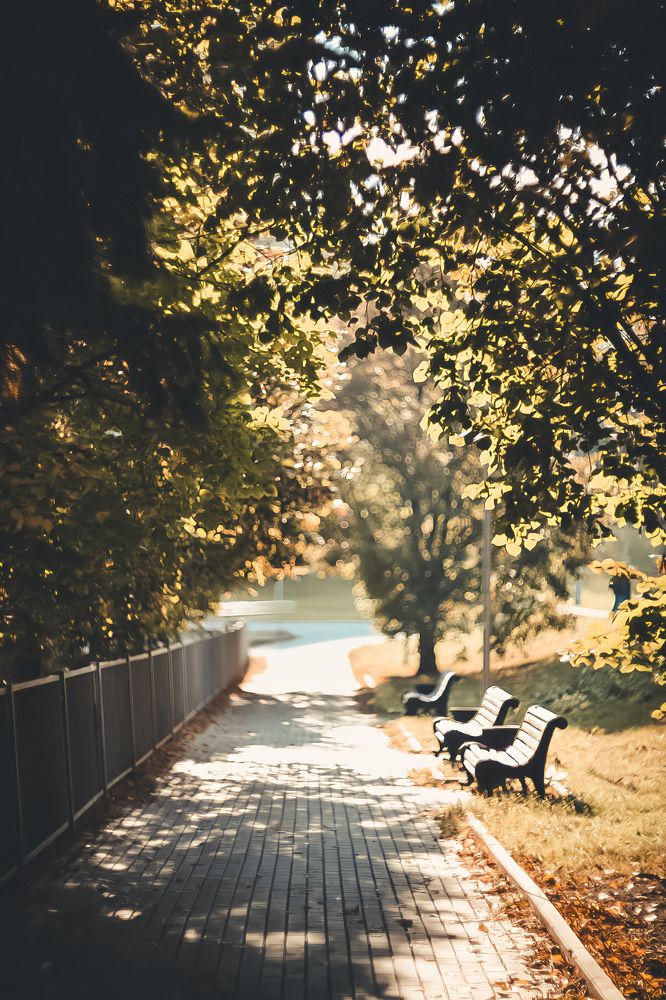 Photograph by Александра Пургаева