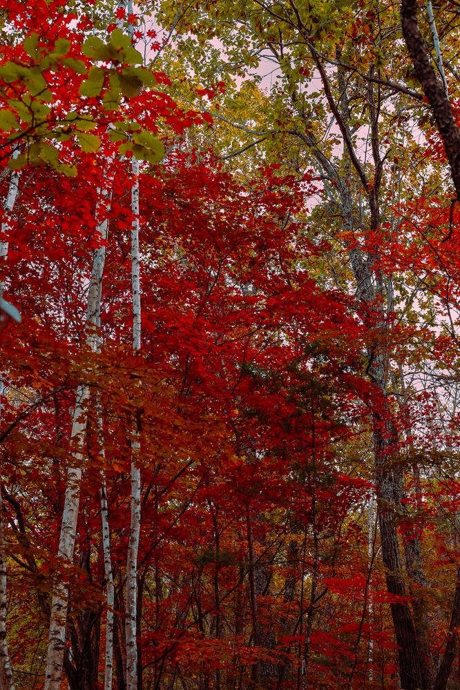 Photograph by Наталья Лобанова