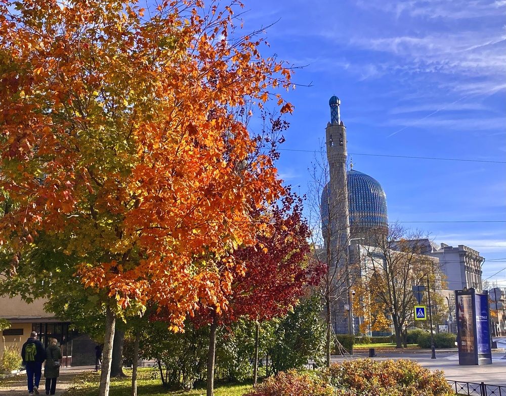 Фотография автора Анна Могилева