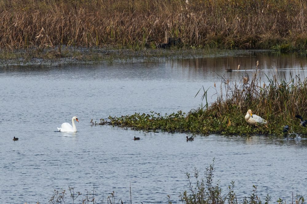 Photograph by Сергей Игнатьев
