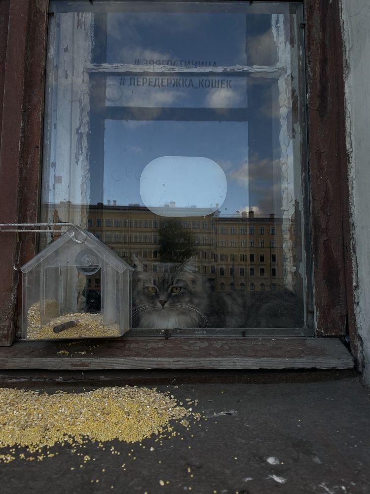 Photograph by Сергей Кутьин