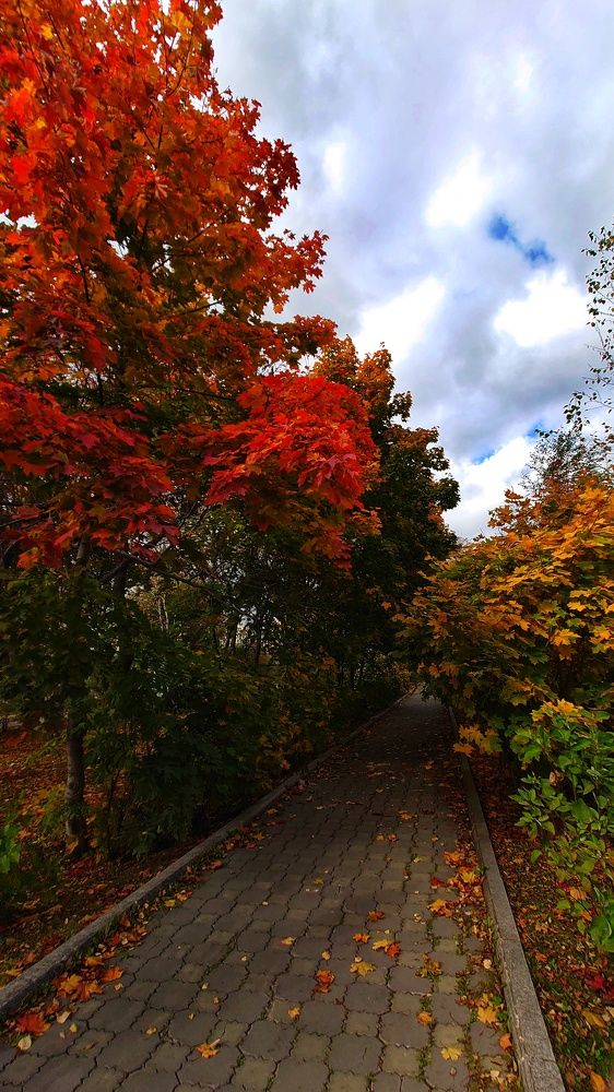 Photograph by Таращук Евгений