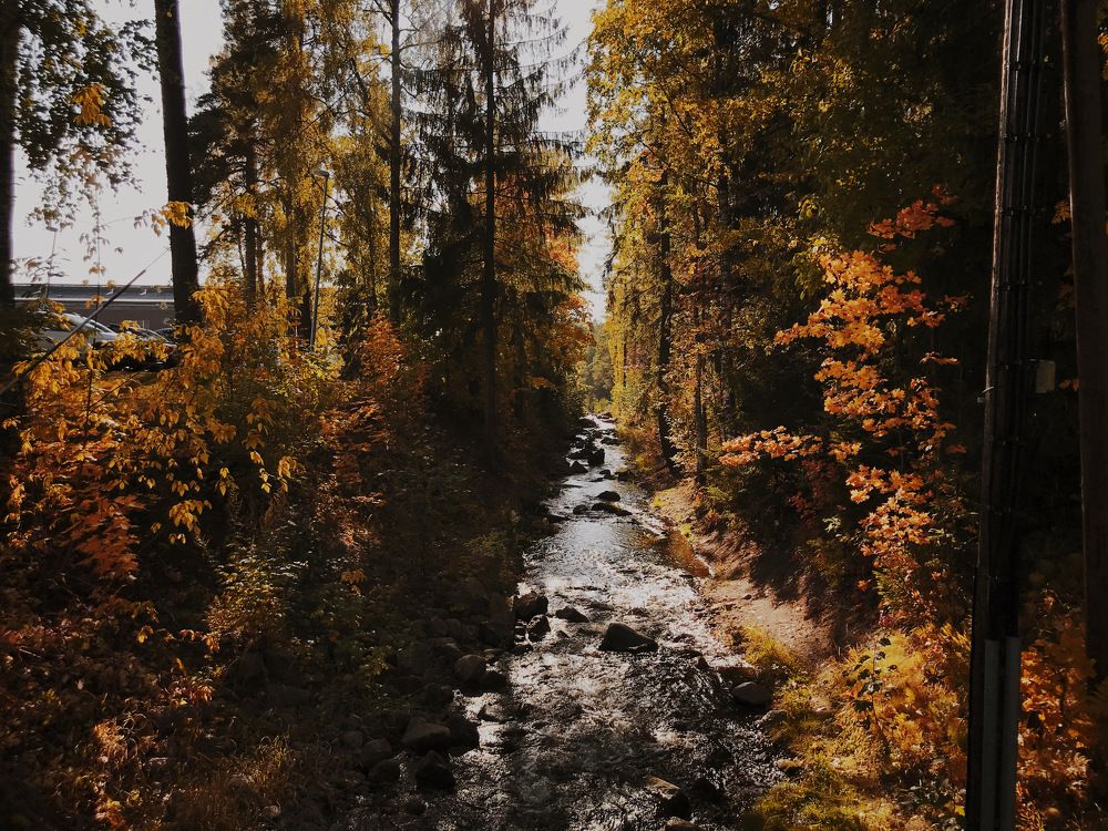 Photograph by Сергей Кутьин