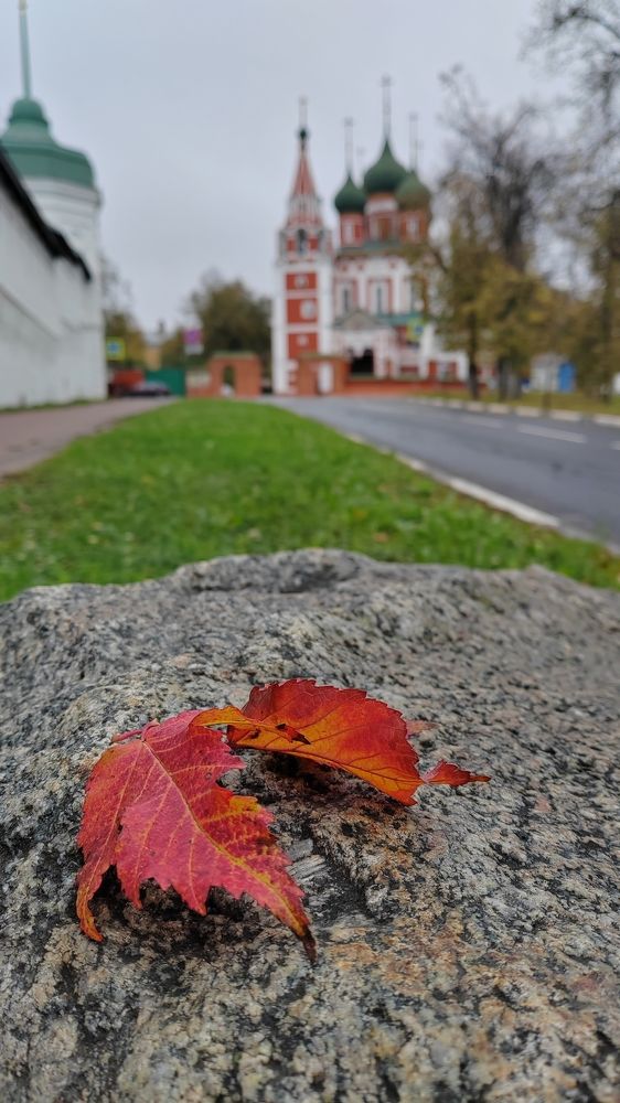 Photograph by Анастасия Проскурнова