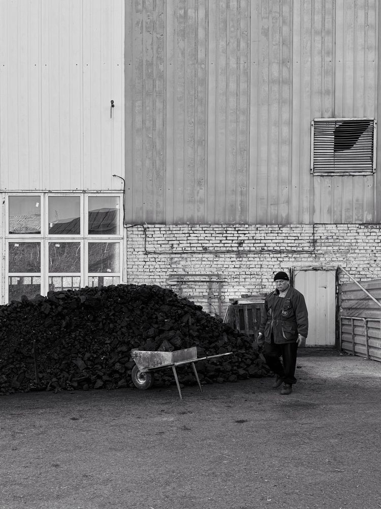 Фотография автора Ольга Васильева