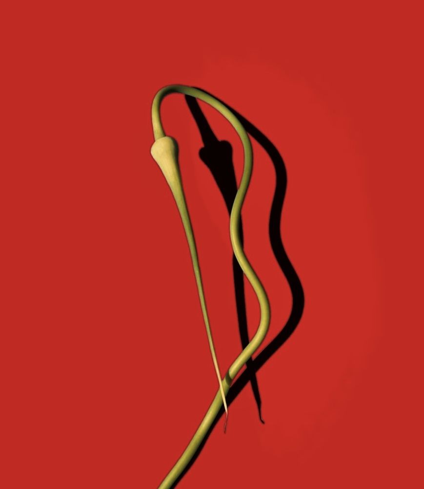 Photograph by Гуляева Светлана