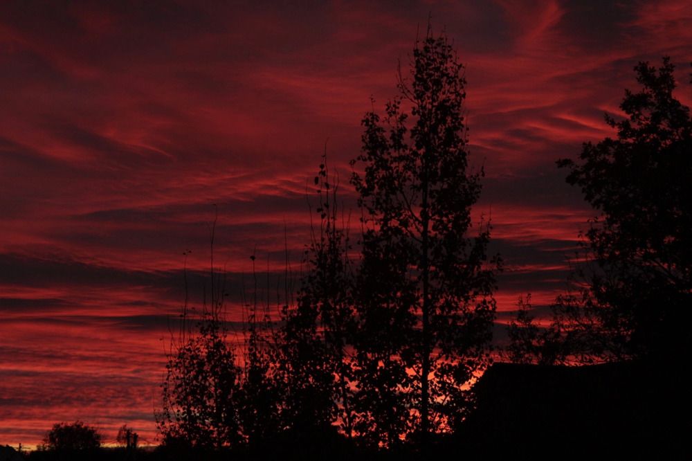 Photograph by Анна