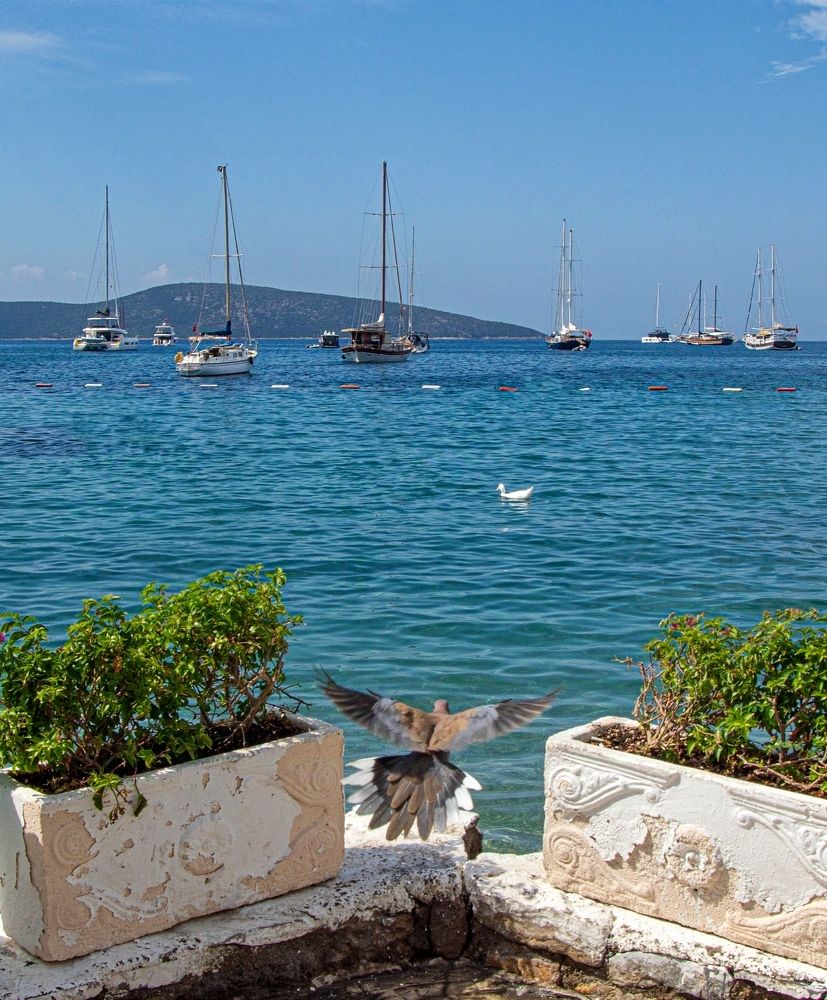 Photograph by Анна Васильева