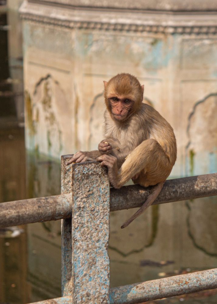 Photograph by Анна Васильева