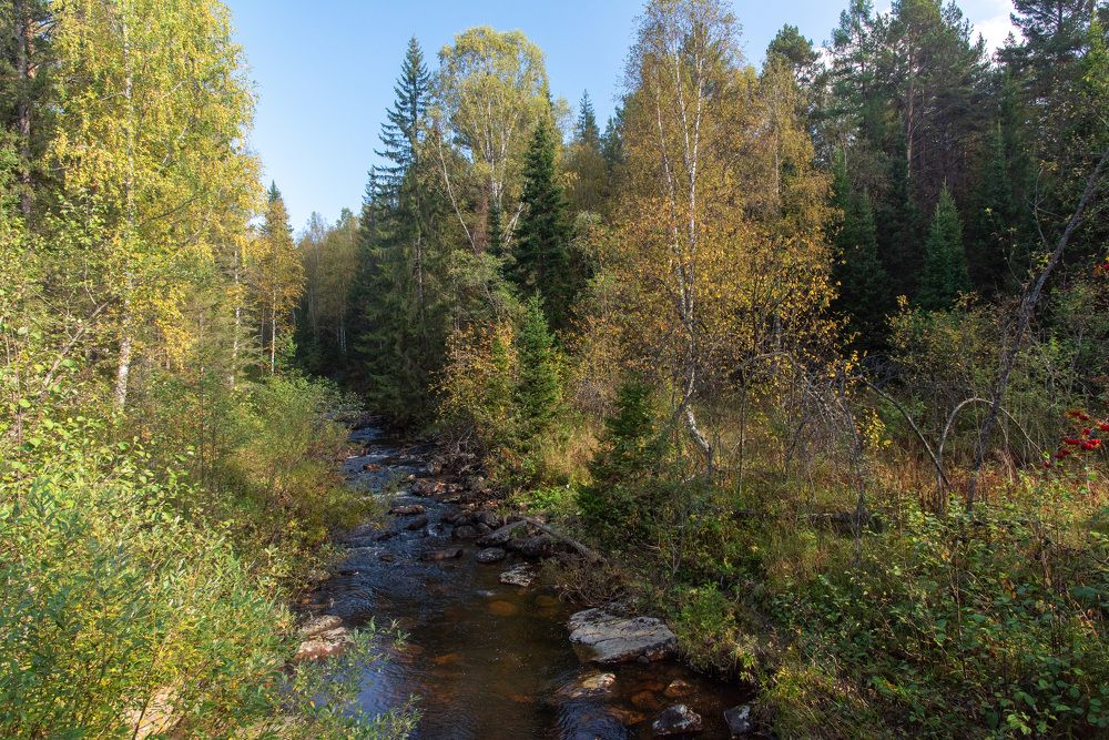 Photograph by Артём Самусенко