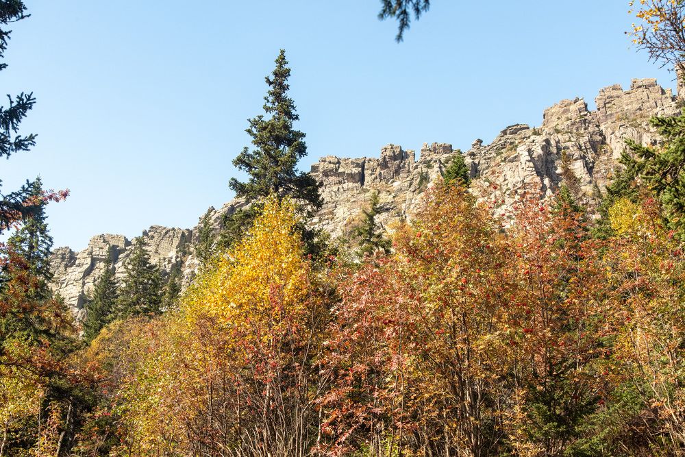 Photograph by Артём Самусенко