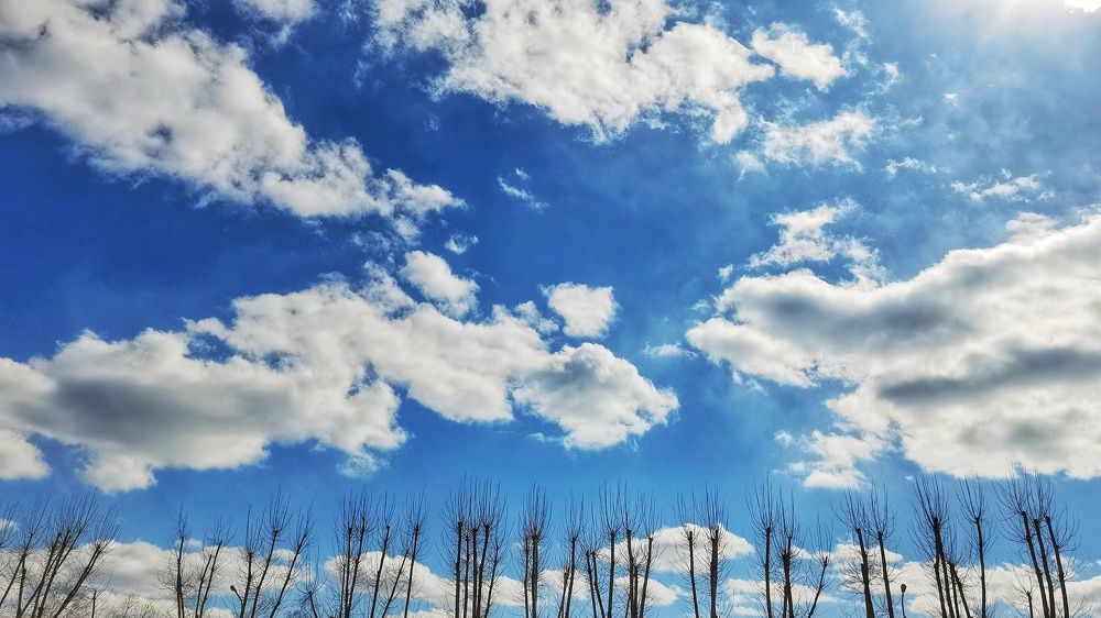 Фотография автора Екатерина Першина