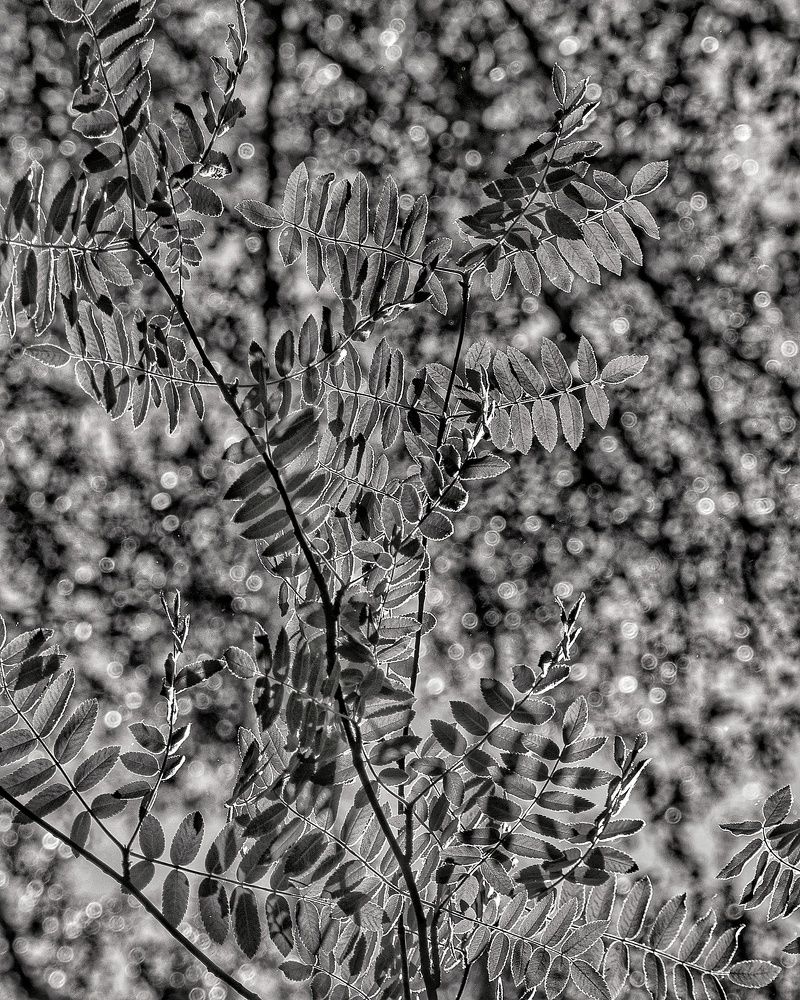 Фотография автора Екатерина Першина