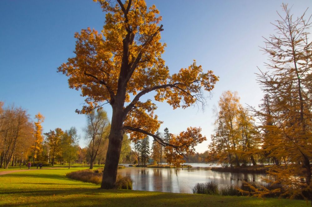 Photograph by Анна Васильева