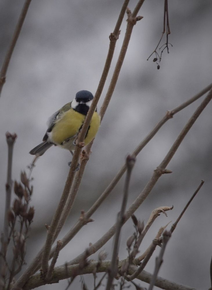 Photograph by Kateřina