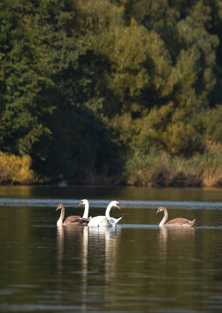 Photograph by Kateřina