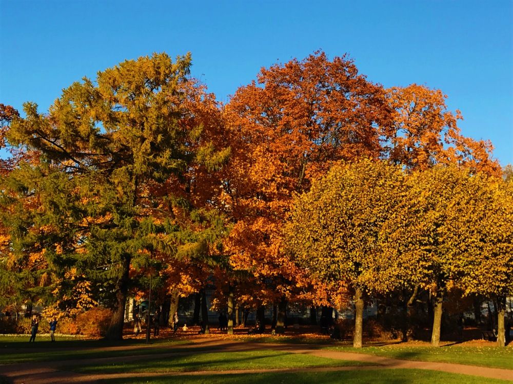 Photograph by Сергей Кутьин