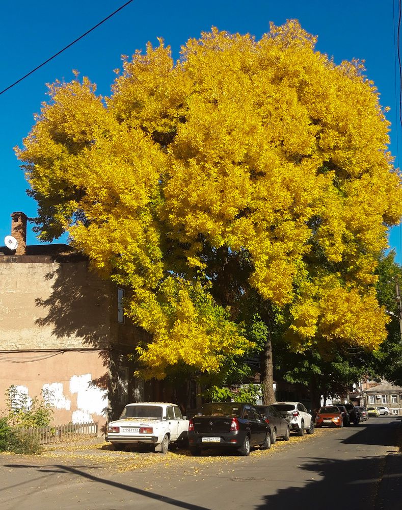 Photograph by Мария Бурик