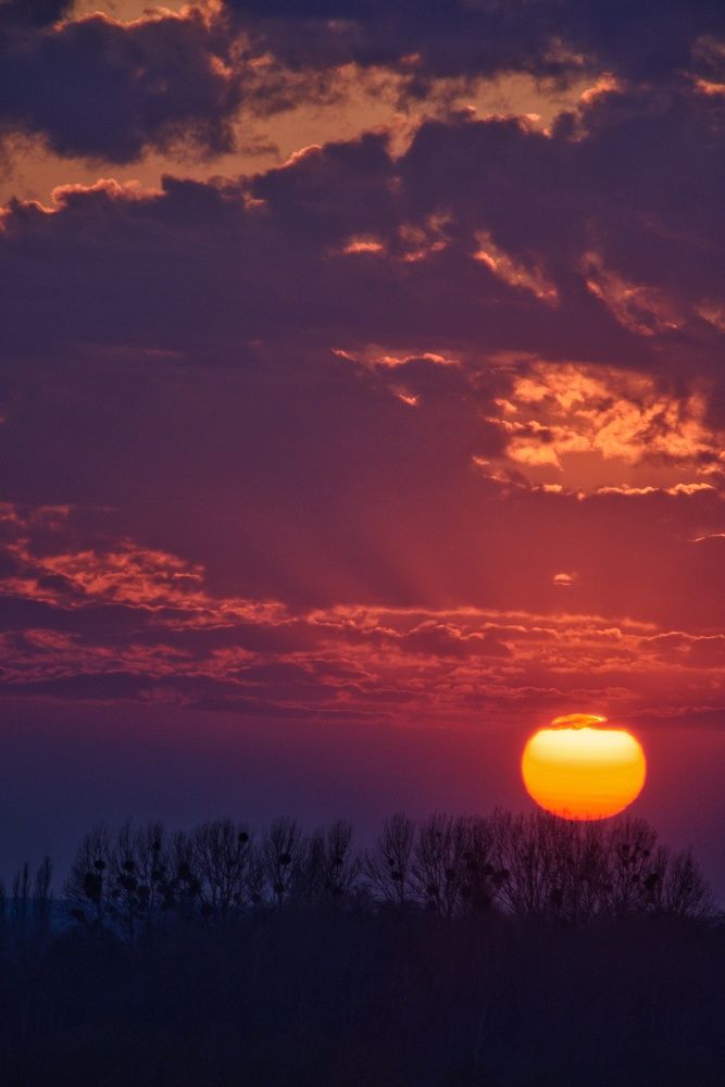 Photograph by Владимир Леликов-Кузьменко