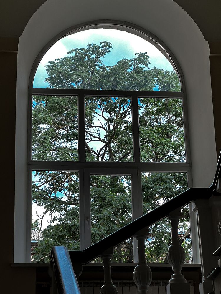 Photograph by Мария Бурик