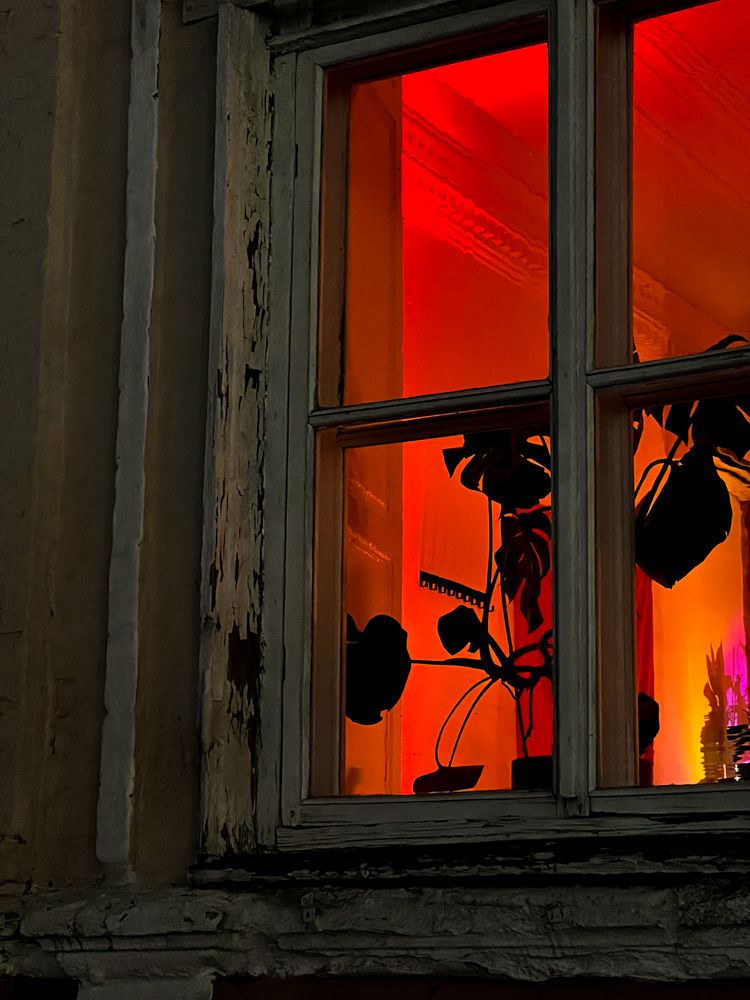 Photograph by Мария Бурик