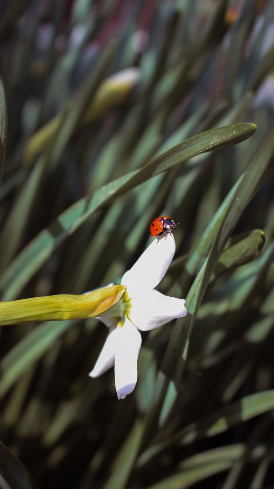 Фотография автора Анастасия Горбунова