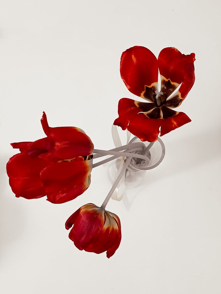 Фотография автора Анастасия Горбунова