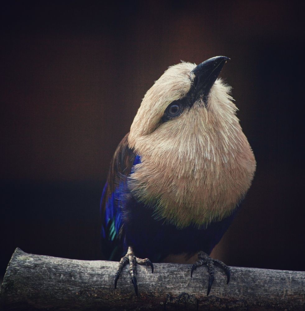 Фотография автора Galina Sa