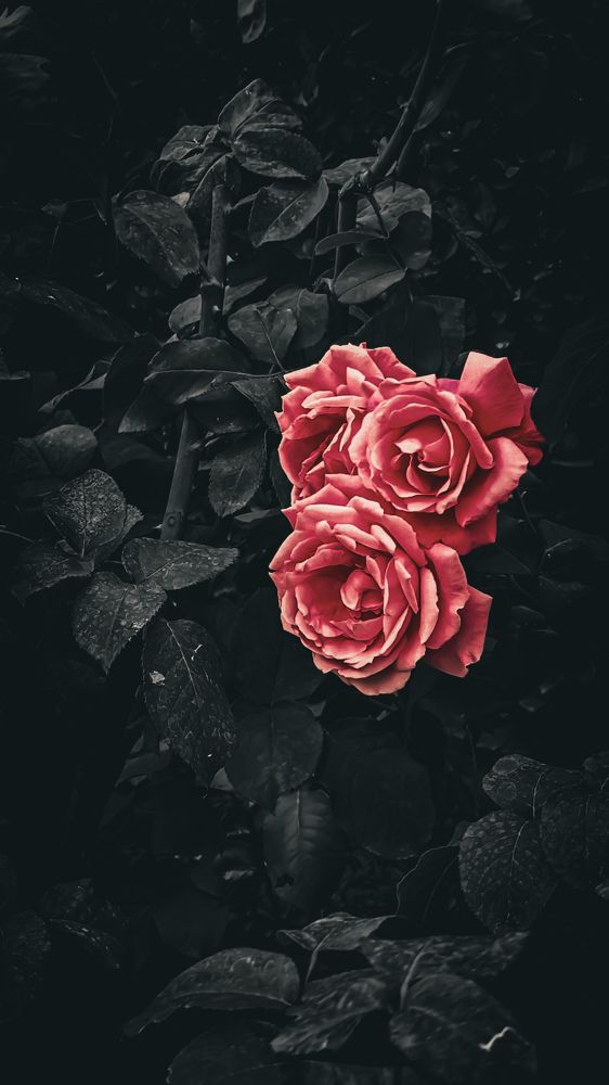 Photograph by Иван Егупов