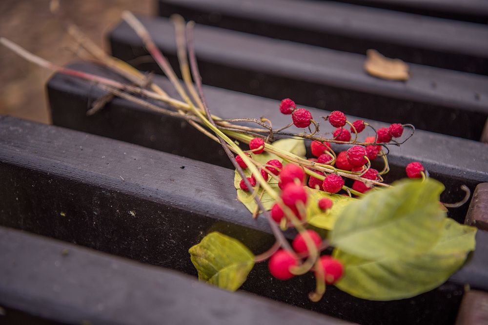 Photograph by Helena Proshkina