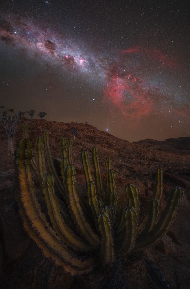 Фотография автора Burak Esenbey