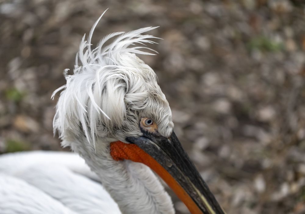 Photograph by Татьяна Феденкова