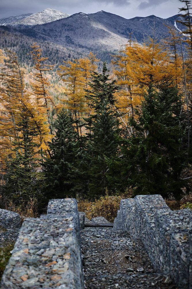 Фотография автора Бороненков Вадим